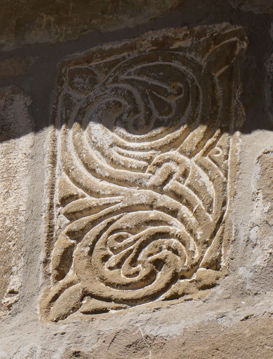 Relieve vegetal