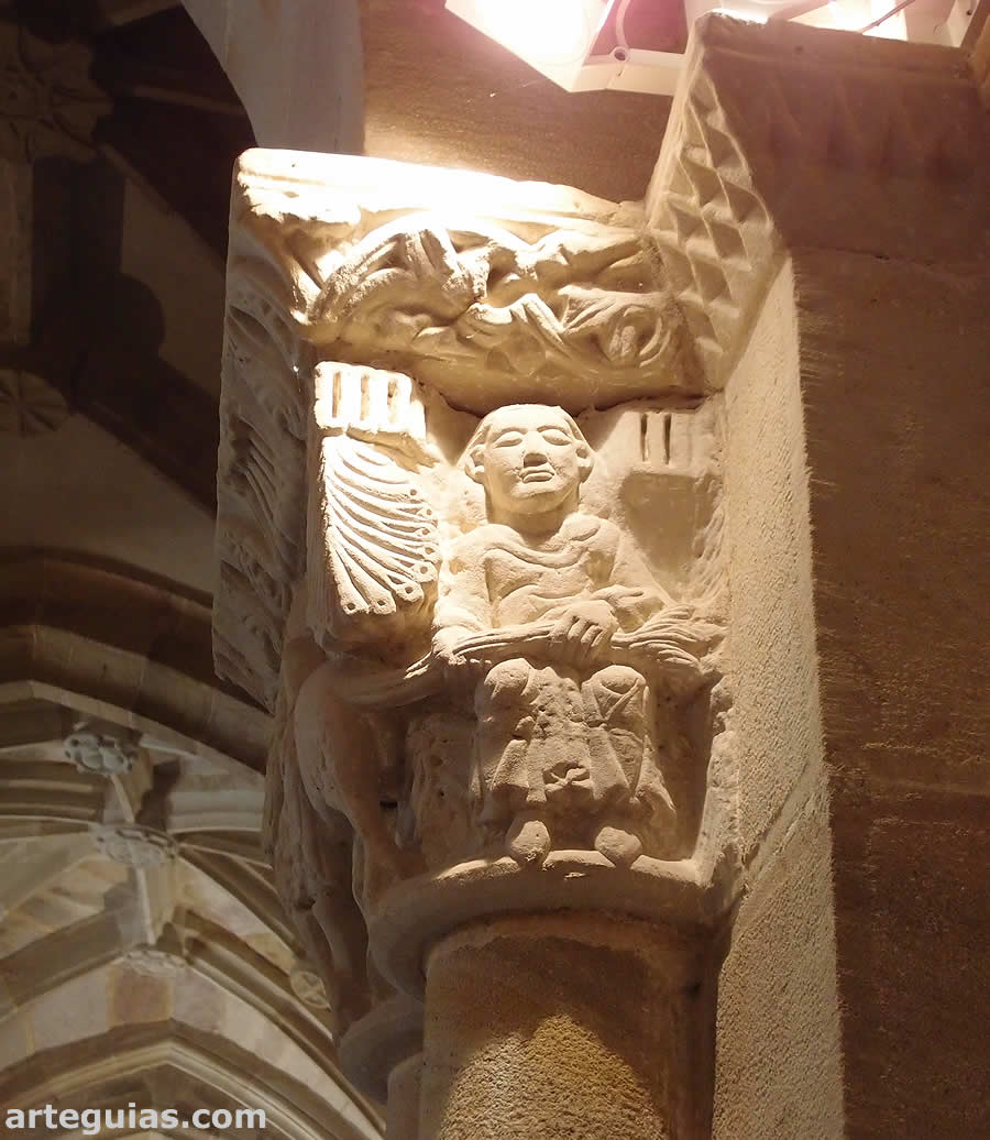 Hombre tira de la cola del león
