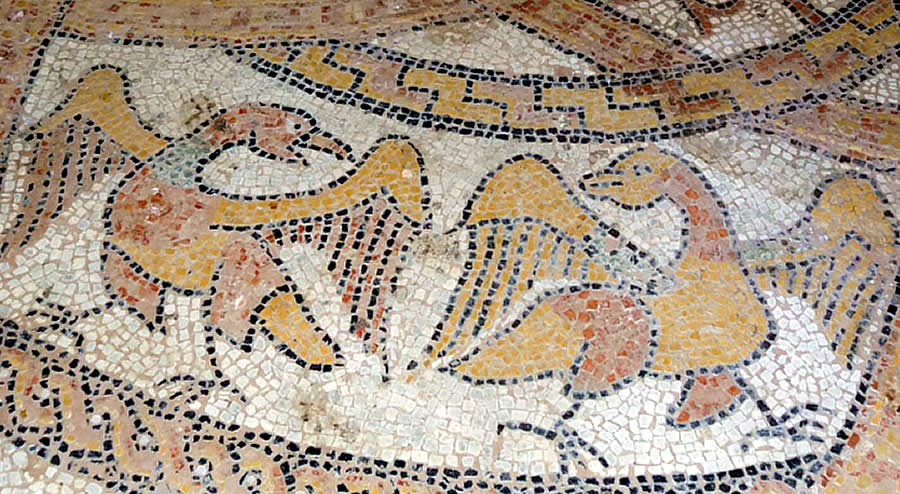Detalle del mosaico con una pareja de aves