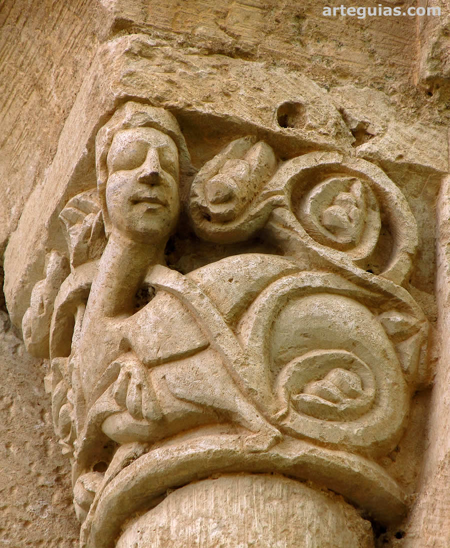 Arpía