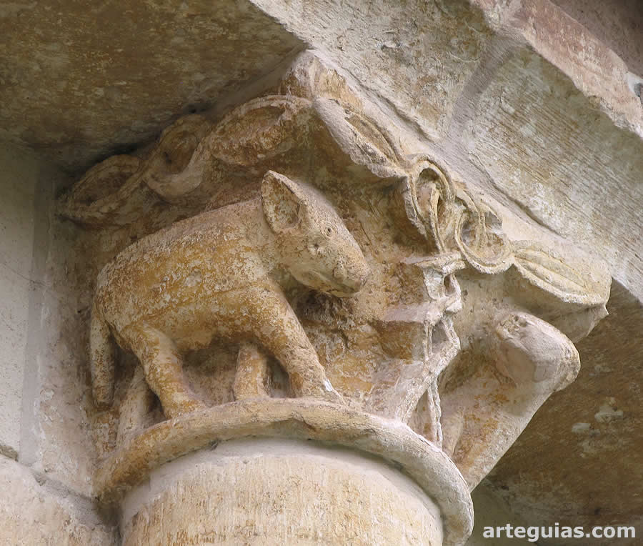 Capitel del ábside con un animal que podría ser un jabalí
