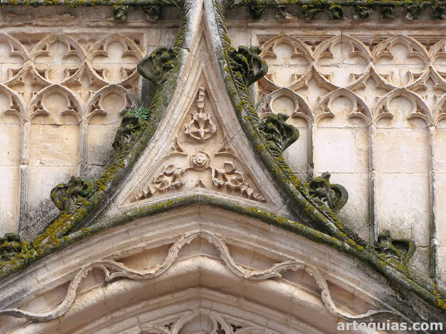 Conopio y arquer&iacute;as ciegas en las enjutas