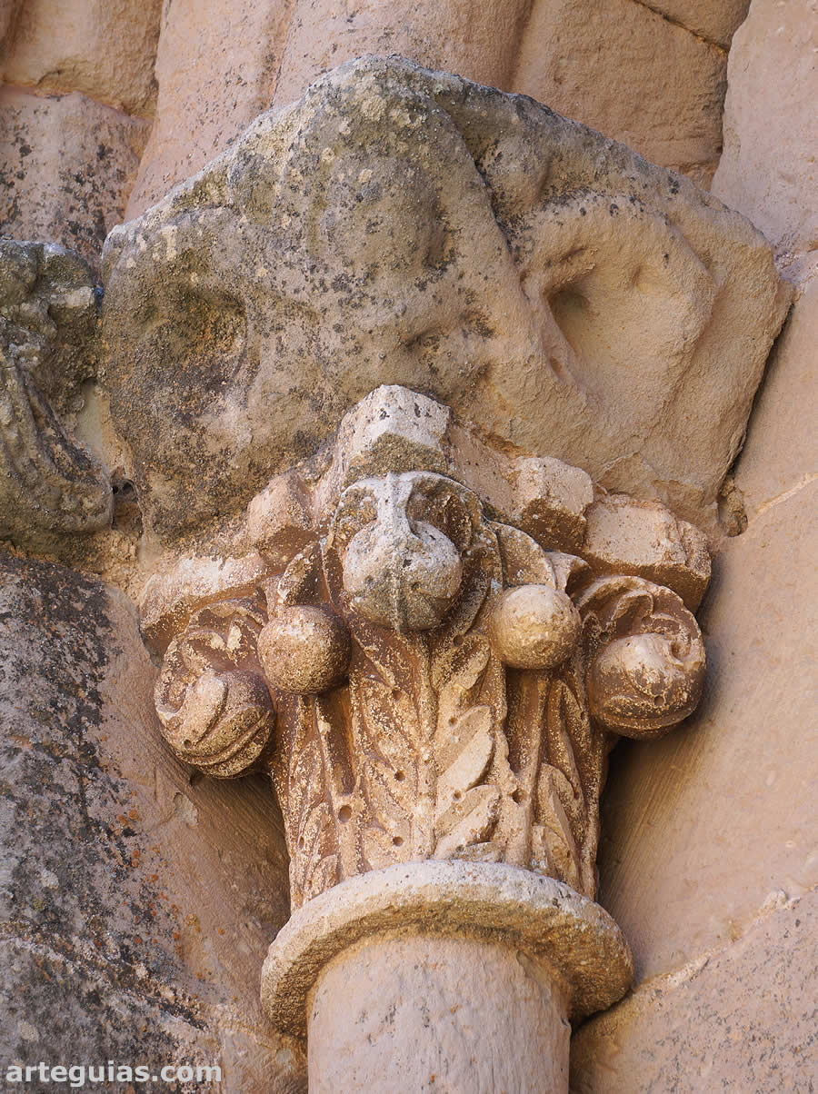 Capitel fitomorfo