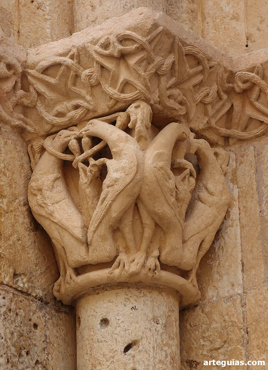 Parejas de aves pivando frutos