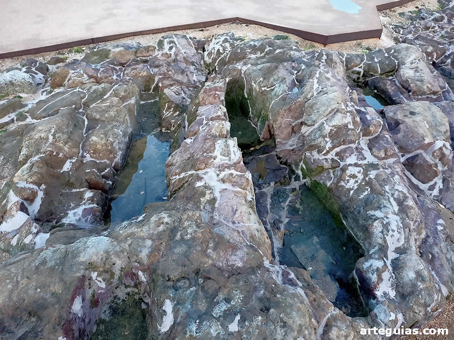 Necrópilis junto a la iglesia de Lourosa