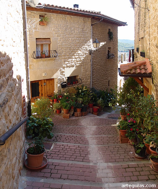 Preciosa calle en cuesta de la localidad navarra de San Martín de Unx