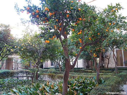 Patio de los Naranjos
