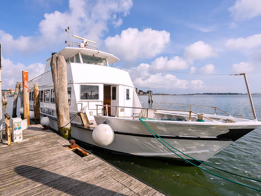 Acceso a las islas de Venecia y Torcello en barco privado