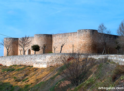 El Alcázar de Toro, Zamora