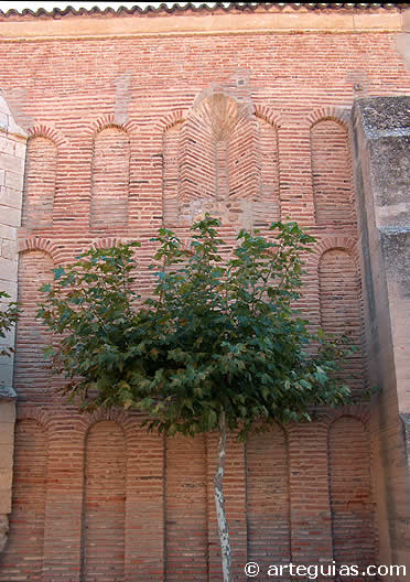 Iglesia de San Pedro de Villalpando